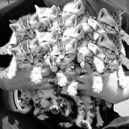 Yurii, ������, 42 ����