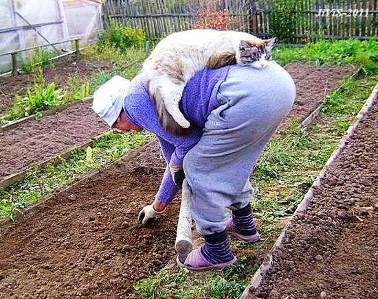 ������������ ���� - 8 ������ 2015 � 23:13