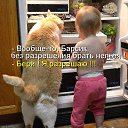���� ���������, �������, 54 ���� - ��������� 17 ������ 2015 � ������ ���� ���� ��������ӻ