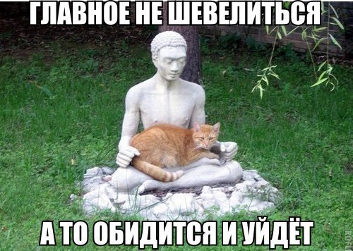       - 22  2015  23:55