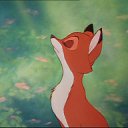 ���� ����, ����������� - ��������� 5 ������ 2015 � ������ ������ ��������