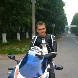 ���� 5497177a, ������, 46 ��� - ��������� 12 ������ 2015