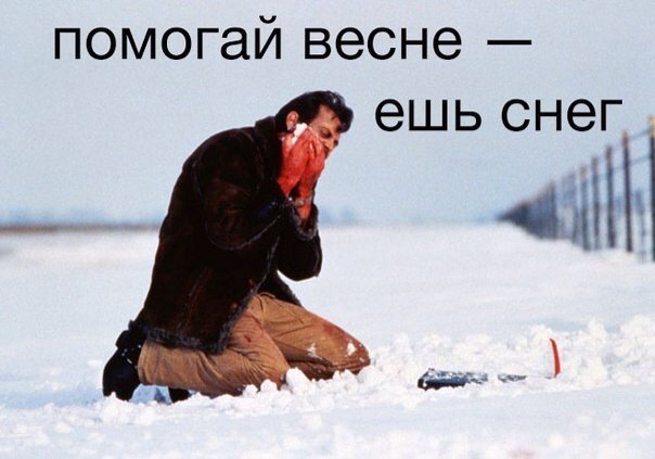  - 6  2015  14:31
