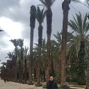 ���� ������, �������, 44 ���� - ��������� 14 ������� 2015 � ������ ���� ����������