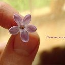   Irus, , 48  -  8  2015    