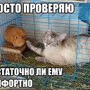 ���� ����, ����������, 39 ��� - ��������� 17 ������� 2015 � ������ ������ ��������