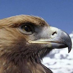 ���� �������, ����, 56 ��� - ��������� 5 ������ 2015