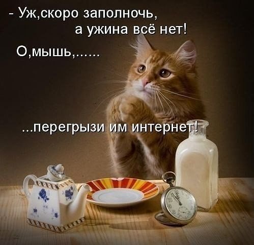 #@cooklove
