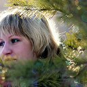 ���� ����, ���������, 38 ��� - ��������� 3 ������ 2015 � ������ ���� ����������