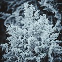 ���� ���������, ��������, 34 ���� - ��������� 8 ������ 2015 � ������ ����� 2�