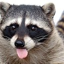 ���� ������, ������ - ��������� 16 ������� 2014 � ������ ���� ����������