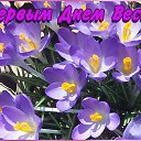 ���� ��������, �����-��������� - ��������� 1 ����� 2015 � ������ �������� ��������