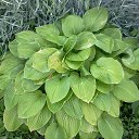  , , 58  -  25  2015     - 