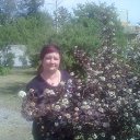 ���� ������, ������ �������� - ��������� 1 ����� 2015 � ������ ���� ����������