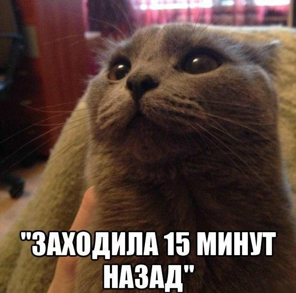    :D - 29  2015  05:45 - 6