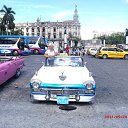 ������ �� ������� ���� ����������