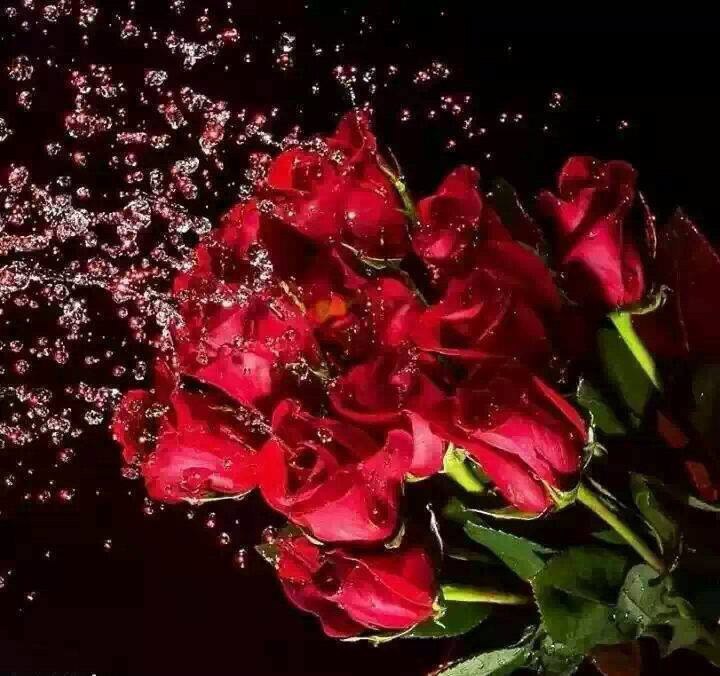 15 ВЕЩЕЙ, которые мужчины хотели бы сказать женщинам: 1. Мы никогда не уходим от женщин, с которыми ...