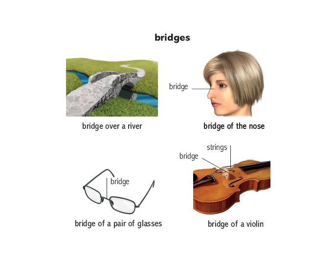    bow, scale, trunk, bridge, rack, key, magnet, overlap.    ... - 4