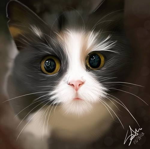 Art & Fun - 17  2015  13:07