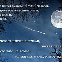 ���� �����, ����������� - ��������� 3 ������ 2015 � ������ ������ ��������