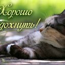 ���� ������, ��������, 67 ��� - ��������� 14 ����� 2015 � ������ �������� ��������