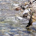 ���� ���, ������, 66 ��� - ��������� 5 ������ 2015 � ������ ���� ����������