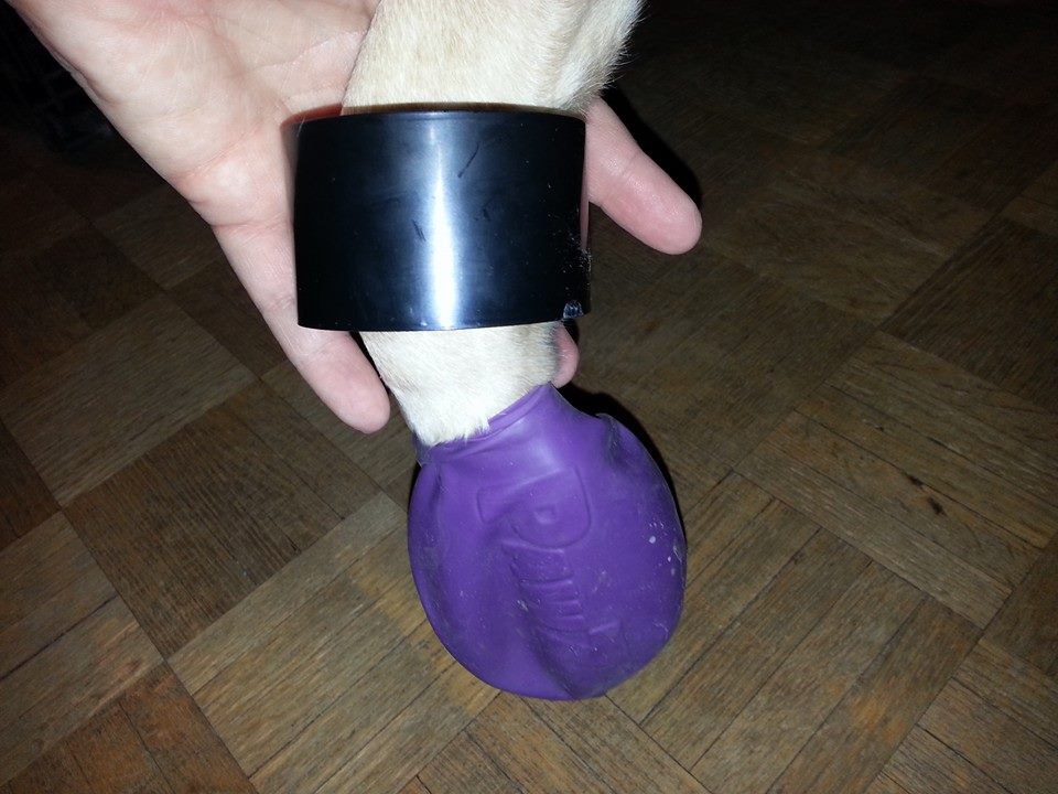    ,          .   ... - 5