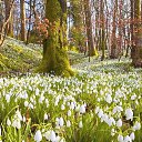 ���� �����, ������ - ��������� 1 ����� 2015 � ������ ������ ��������