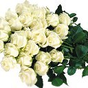 ���� ������, ���� - ��������� 13 ������ 2015 � ������ ������ ��������