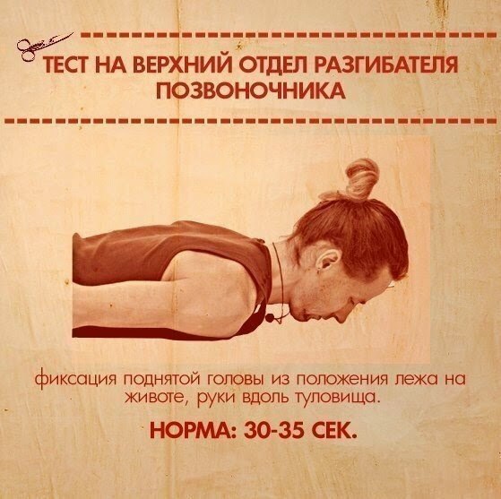 В вашей практике помимо упражнений на вытяжение должны обязательно присутствовать и силовые асаны. - 5