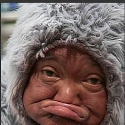 �����*, �����������