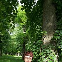 ���� ** �@����@ **, ������-��-���� - ��������� 6 ������ 2015 � ������ ���� ����������