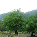  , , 66  -  9  2015   2