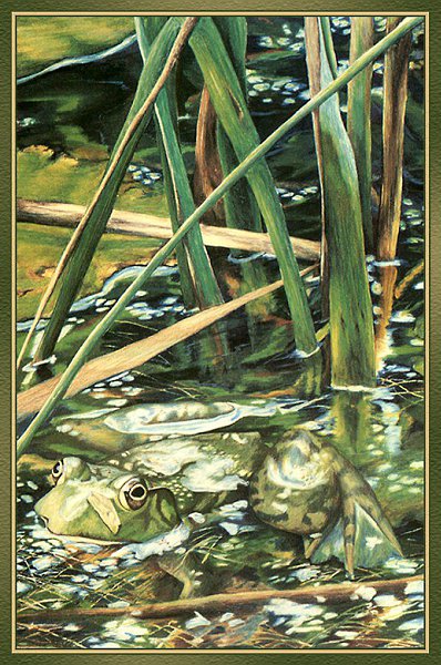 Varios Artists - 195