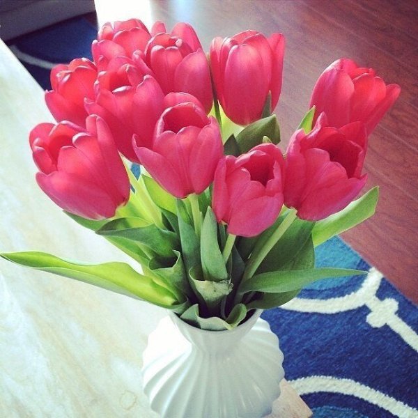   |  |  - 26  2015  18:42