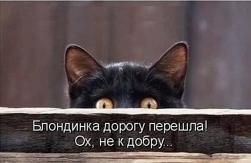       - 16  2015  16:33