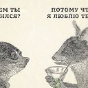 ,  -  4  2015    