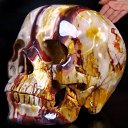 ���� Janus-faced, ������� - ��������� 14 ������� 2014 � ������ �������� �� ��������������� ������