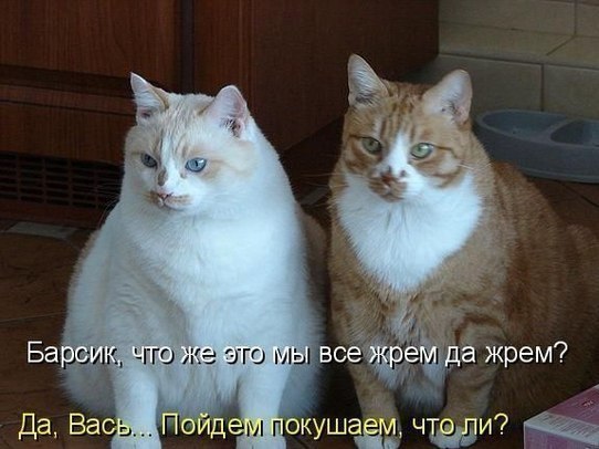       - 1  2015  05:01