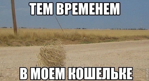   - 7  2015  05:03