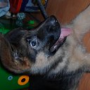 ���� Alexandr, �����-���������, 45 ��� - ��������� 11 ������� 2015 � ������ �����