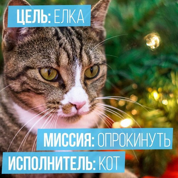 .. - 23  2014  20:42