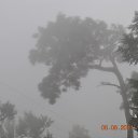 ���� Aru, �������� - ��������� 11 ������ 2015 � ������ �Ooty, Tamilnadu, India�