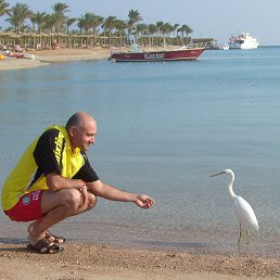 ���� Nerses, �������-���������, 64 ���� - ��������� 5 ����� 2015