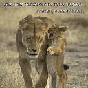 ���� C�����, �������, 58 ��� - ��������� 5 ������� 2015 � ������ ���� ����������