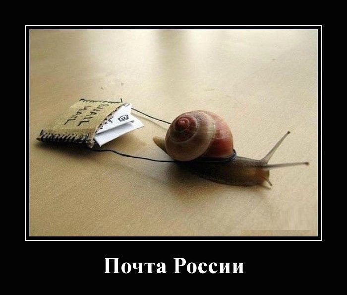 Ivan Karataev - 27  2015  00:55