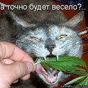 ���� ����, ����, 47 ��� - ��������� 6 ������� 2015 � ������ ������ ��������
