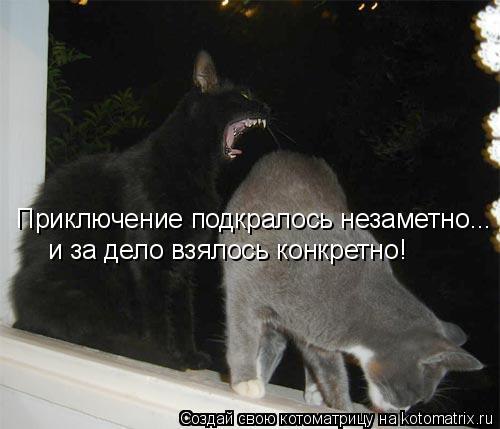 /zev/null - 25  2014  20:01