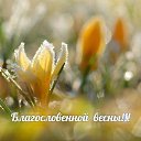 ���� ��������, ���� - ��������� 1 ����� 2015 � ������ ������ ��������