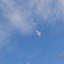 ���� ����, ������, 43 ���� - ��������� 24 ������� 2015 � ������ ���� ����������